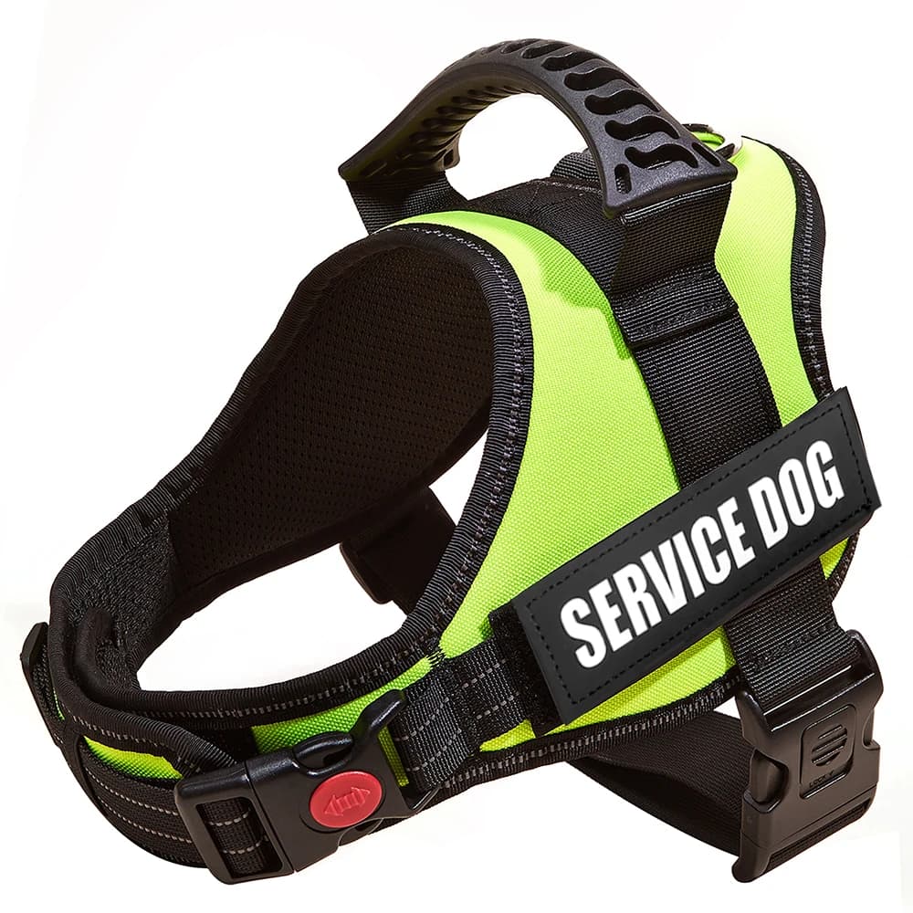 Imbracatura per cuccioli di sicurezza senza tirare per imbracatura per cani di piccola taglia media e gilet Guinzaglio traspirante Pet Bulldog francese Chihuahua Barboncino