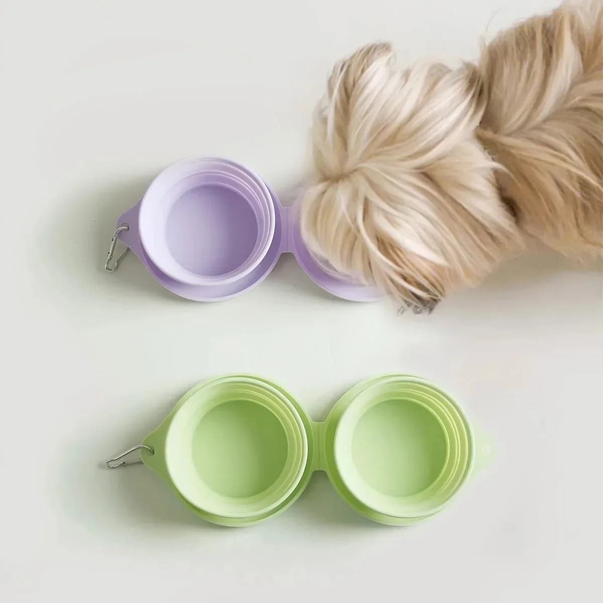 Ciotola portatile in silicone per animali domestici: cibo da viaggio pieghevole e piatto d'acqua per cani e gatti, elementi essenziali per l'alimentazione all'aperto