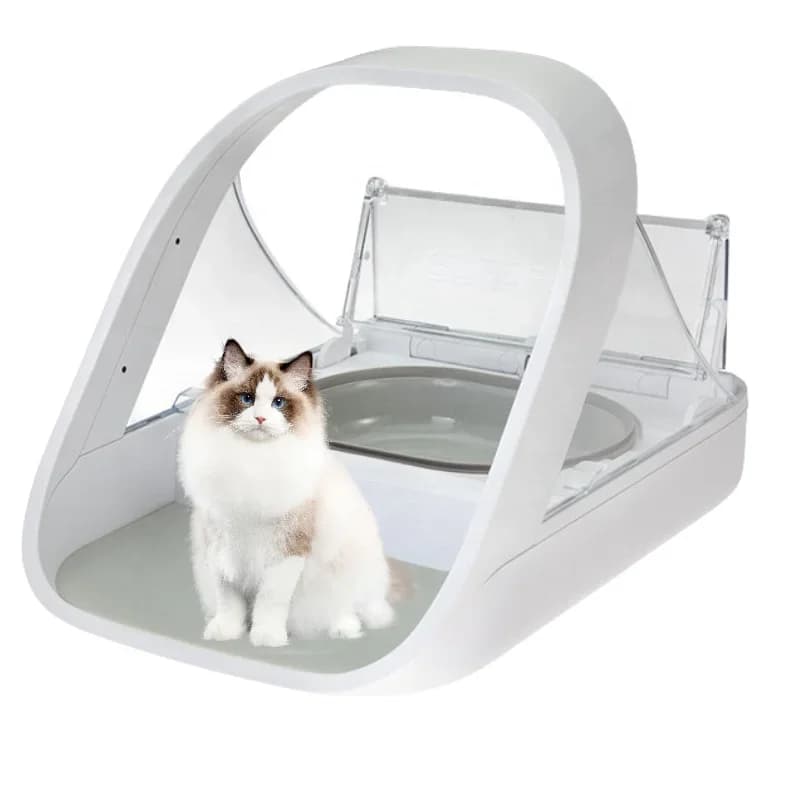 Automatic Pet Feeder Microchip Pets Feeder Suitable Both Wet Dry Food Free Eoutletdeals Value Bundle Bowls Dog