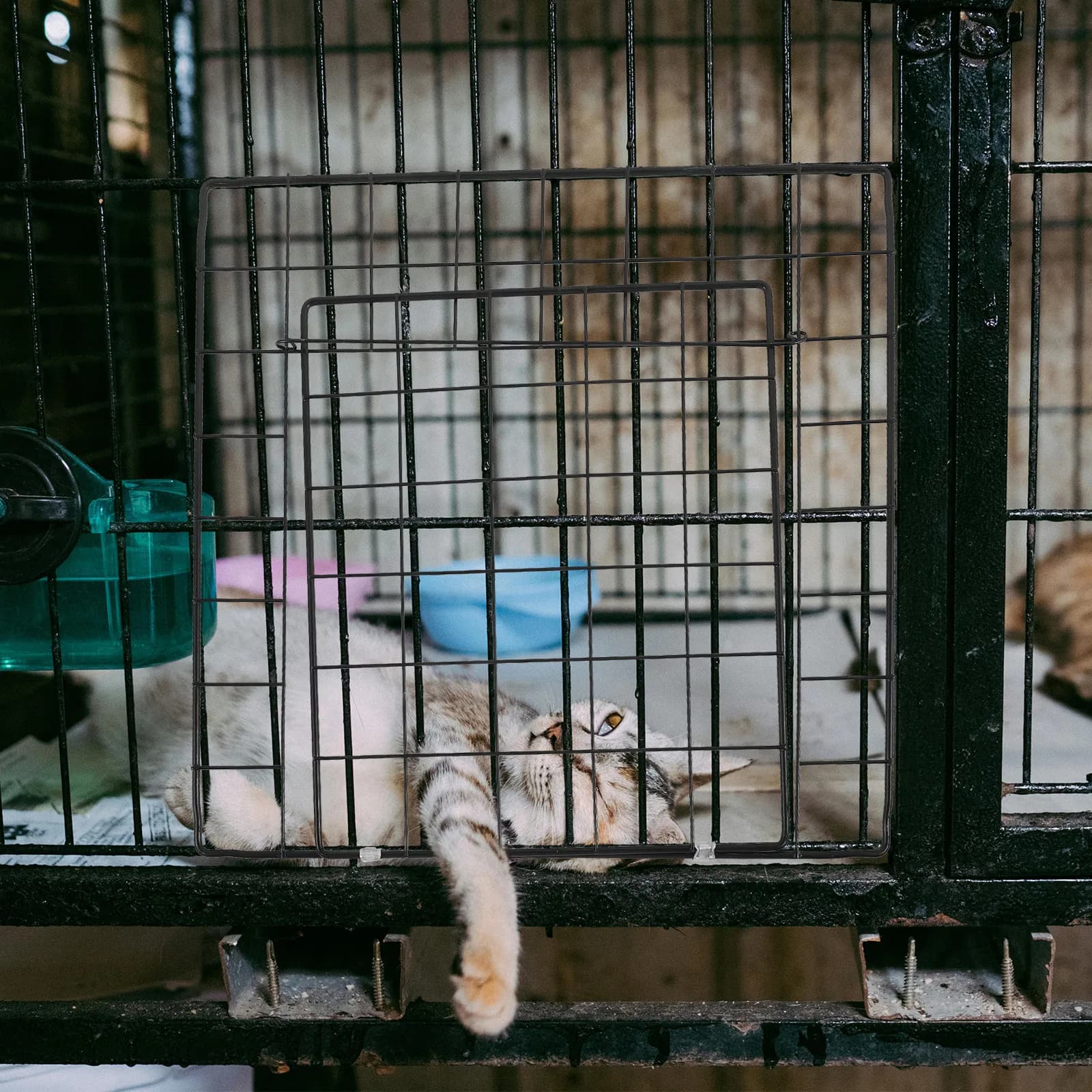 Porta per Gabbia per Animali Domestici in Rete Metallica, Resistente all'Usura, Multiuso, Fai-da-te, Accessori per Pannelli Recinzione Cane Gatto, Porta per Gabbia Gatto