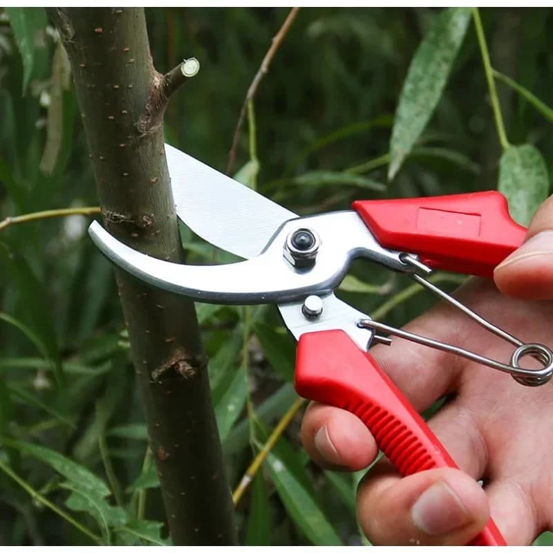 Gardening shears for bonsai, Gardening pots, Grape harvesters, Pot plants for the house, Sherves, Gardening tools