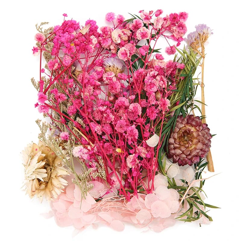 1 borsa di veri fiori secchi foglia resina forniture otturazioni fiore per scrapbooking decorazione artigianato gioielli fai da te risultati