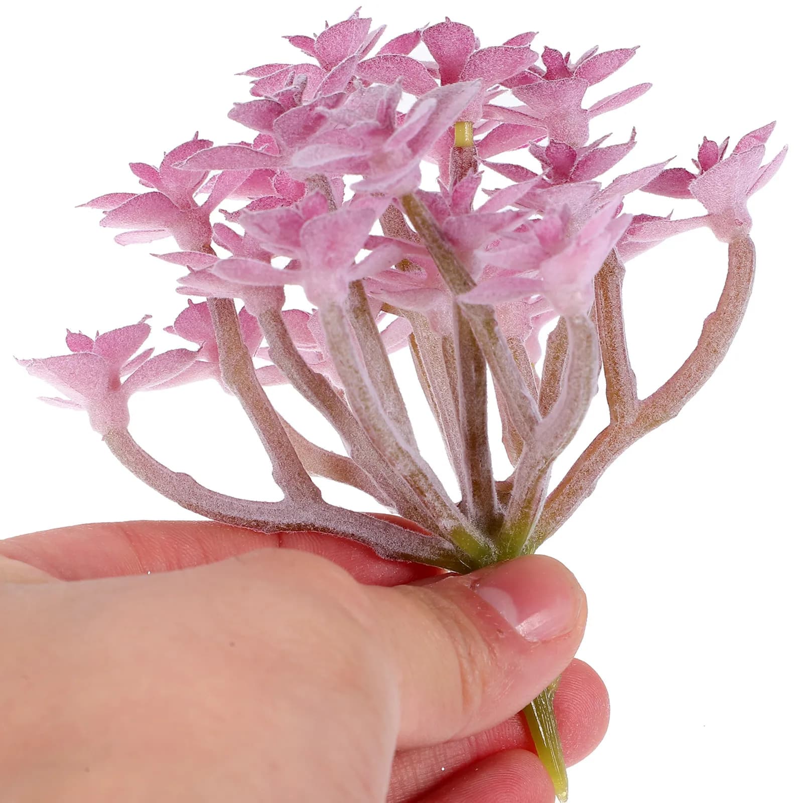 Set di 9 Piante Succulente Artificiali, Decorazioni Realistiche in Plastica per Casa e Ufficio, Piccole Piante Finte Decorative