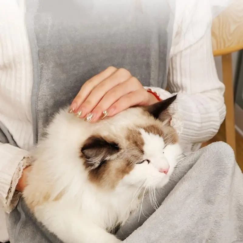 Trasportini per imbracature per animali domestici per gatti piccoli conigli Spalla per esterni per accompagnare i gatti X3UC