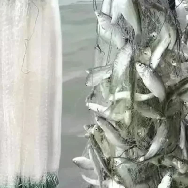 Rete da Pesca in Nylon 8/15/20/30M, Rete Monofilamento con Galleggiante, Trappola a Maglia Singola, Accessori per Attrezzatura da Pesca