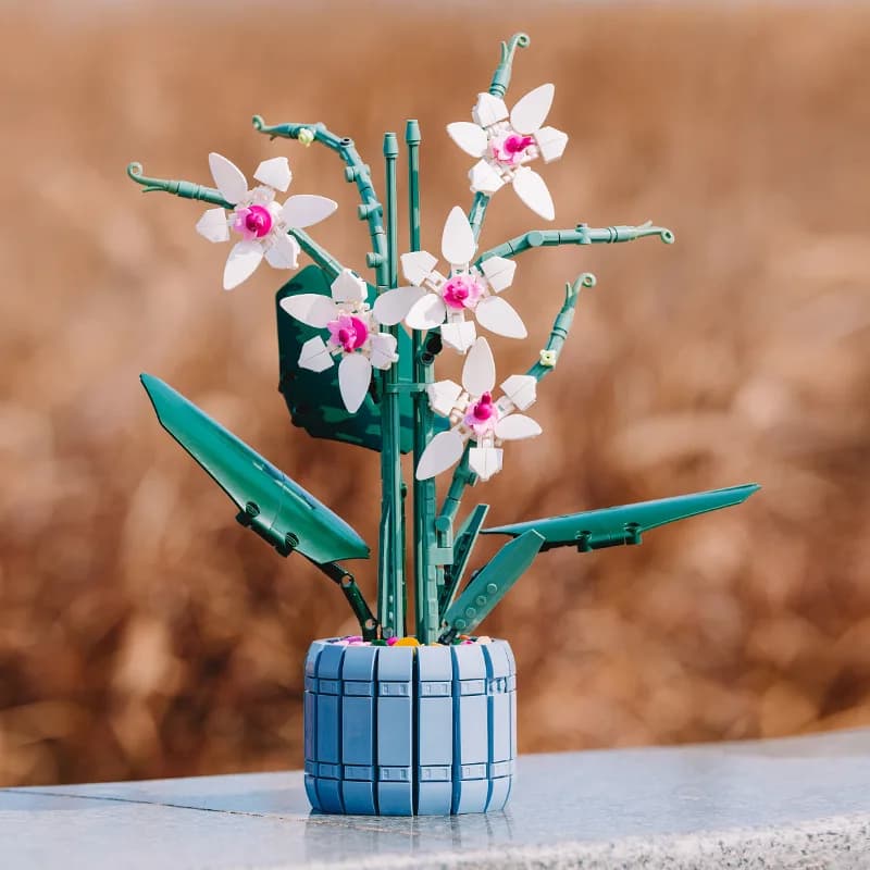 Set di Costruzioni Orchidea Loto, Decorazioni per la Casa, Mattoncini a Forma di Fiori, Modello di Pianta in Vaso, Bouquet di Fiori, Modello Romantico per la Casa, 728 Pezzi