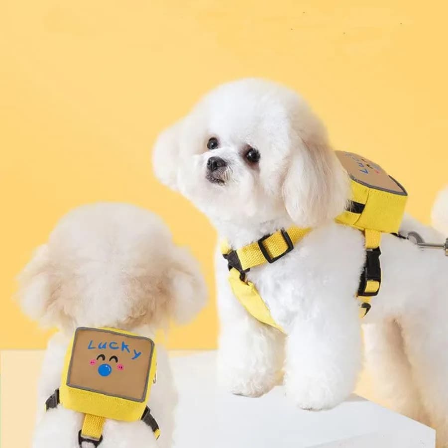 Dog Harness Backpack Cute Dog Vest Harness and Leash Set Plaid Soft Mesh Dog Harness with Adjustable Travel Food Back Pack Carr