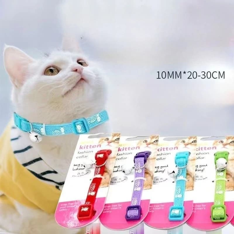 Accessori per Animali Domestici, Collari Luminosi, Collane di Sicurezza per Cani e Gatti
