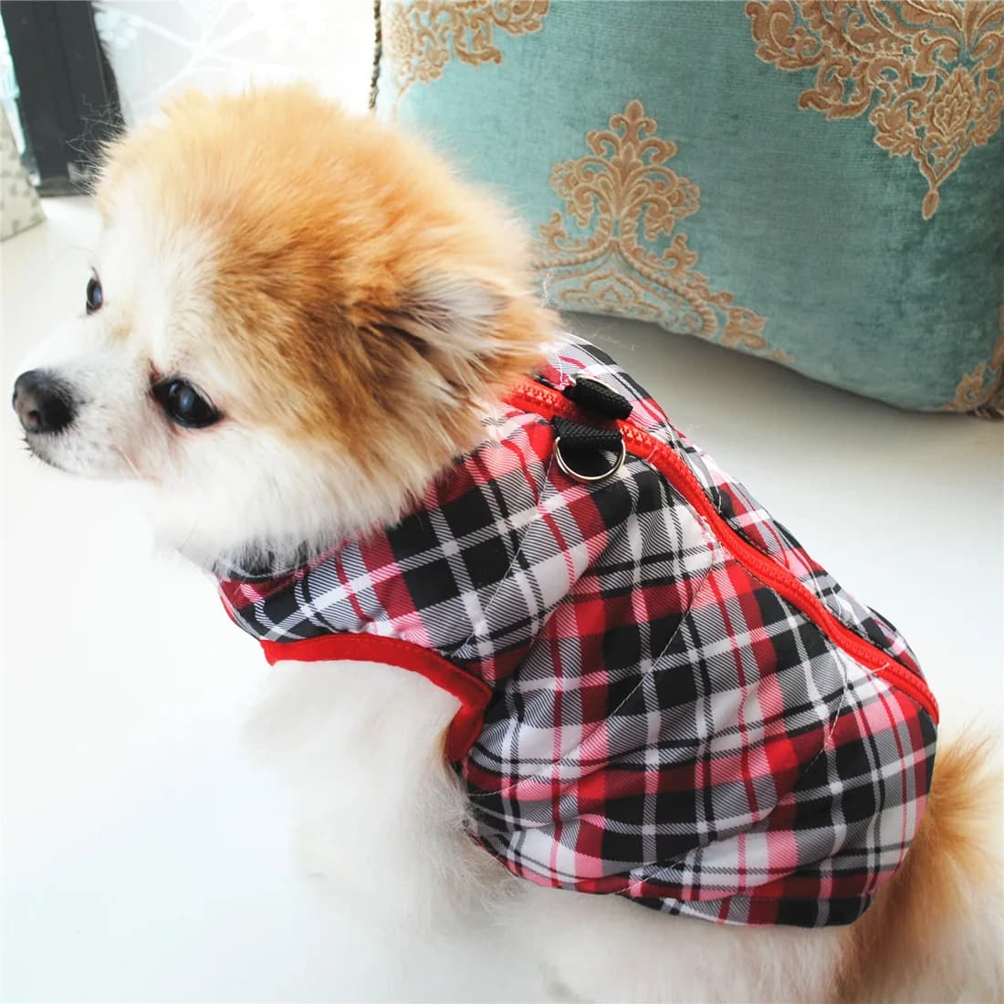 New Winter Padded Pet Dog Cat Vest with Leash Ring, Zipper Warm Puppy Coat for Easy Outdoor