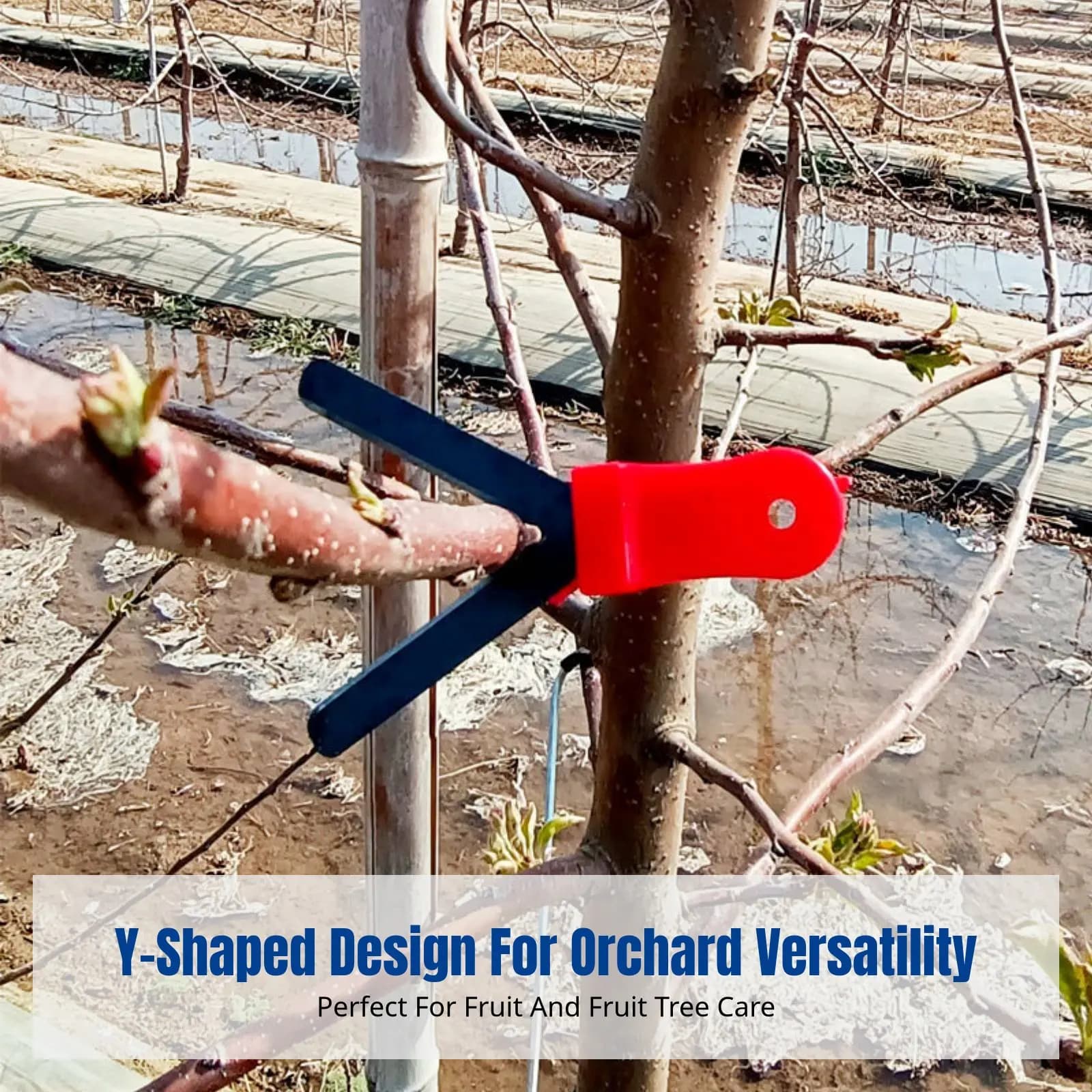 Y tool for the creation of pruning rings for fruit trees, pruning knife for garden orange rings