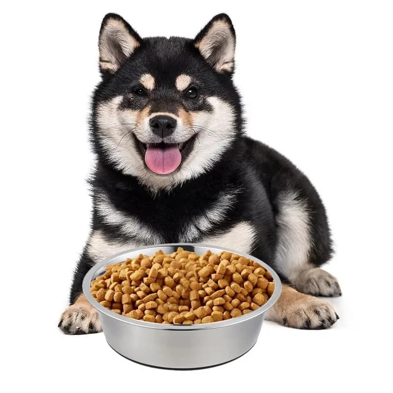 Ciotola Singola in Acciaio Inox per Cibo e Acqua per Cani e Gatti, Doppia Parete Isolata Sottovuoto con Base in Gomma Antiscivolo Arrotondata