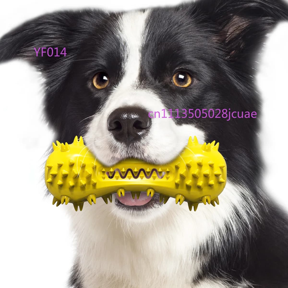 Giocattolo sonoro per cani a forma di manubrio, resistente ai morsi, stick molare per la pulizia dei denti, spazzola a forma di osso, forniture quotidiane per animali domestici