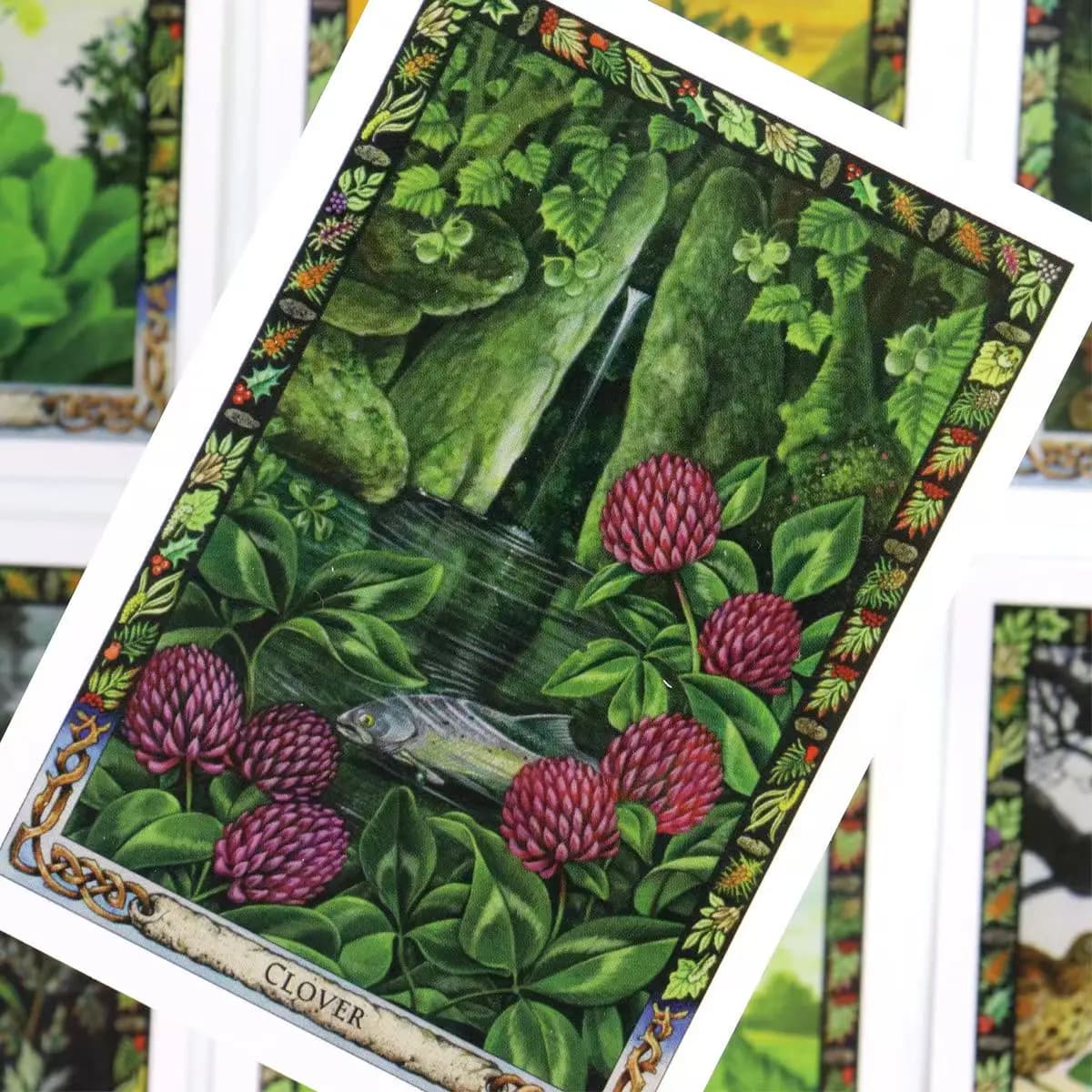 10,4 * 7,3 cm The Druid Plant Oracle 36 pezzi di carte: funzionante con la flora magica della tradizione Druida