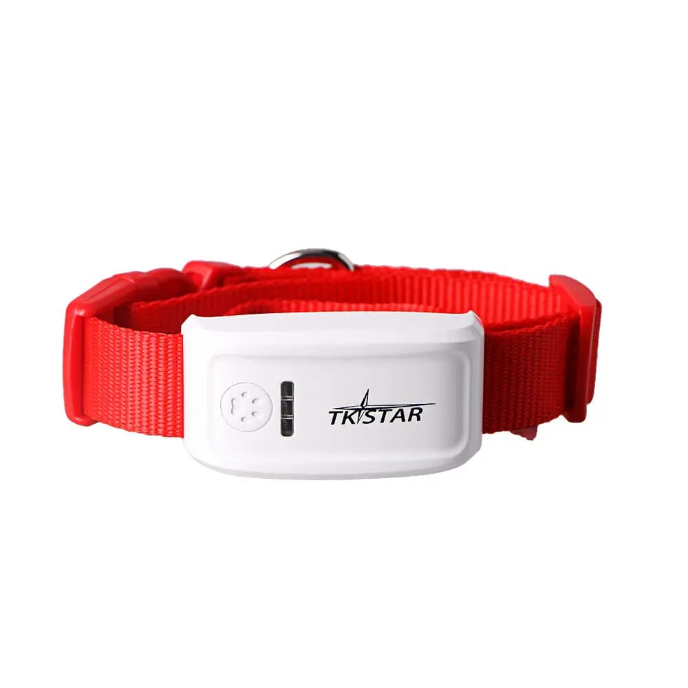 Localizzatore GPS STLFTKSTAR TK909 in Offerta con Collare per Cani, Dispositivo di Tracciamento in Tempo Reale per Animali, Antifurto e Localizzazione