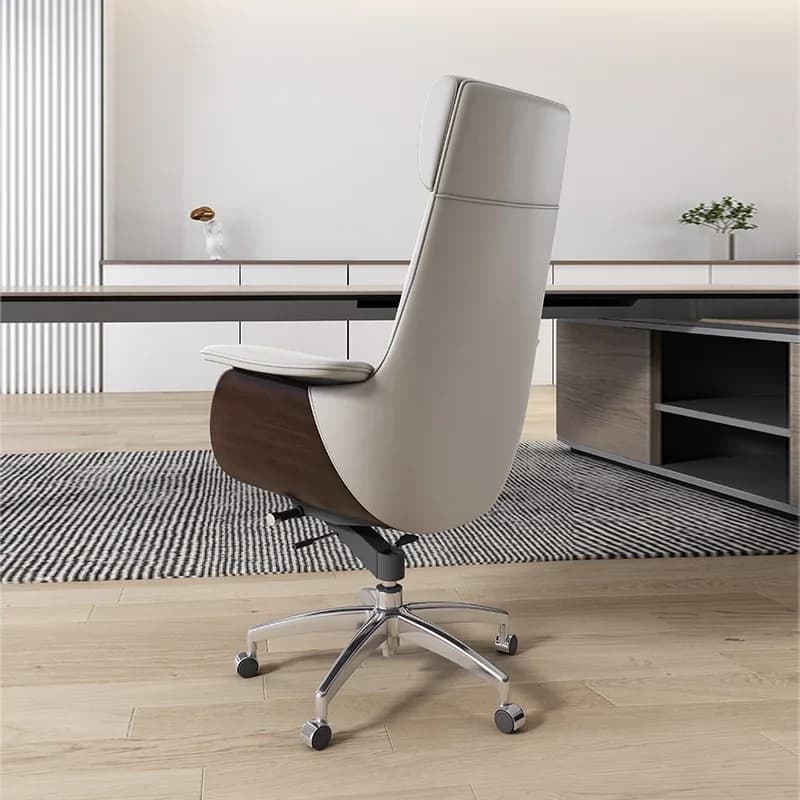 Ergonomic Reclining High Back Executive Desk Chair with Lumbar Support, Comfort Office Computer Seat for Long Hour Daily Use