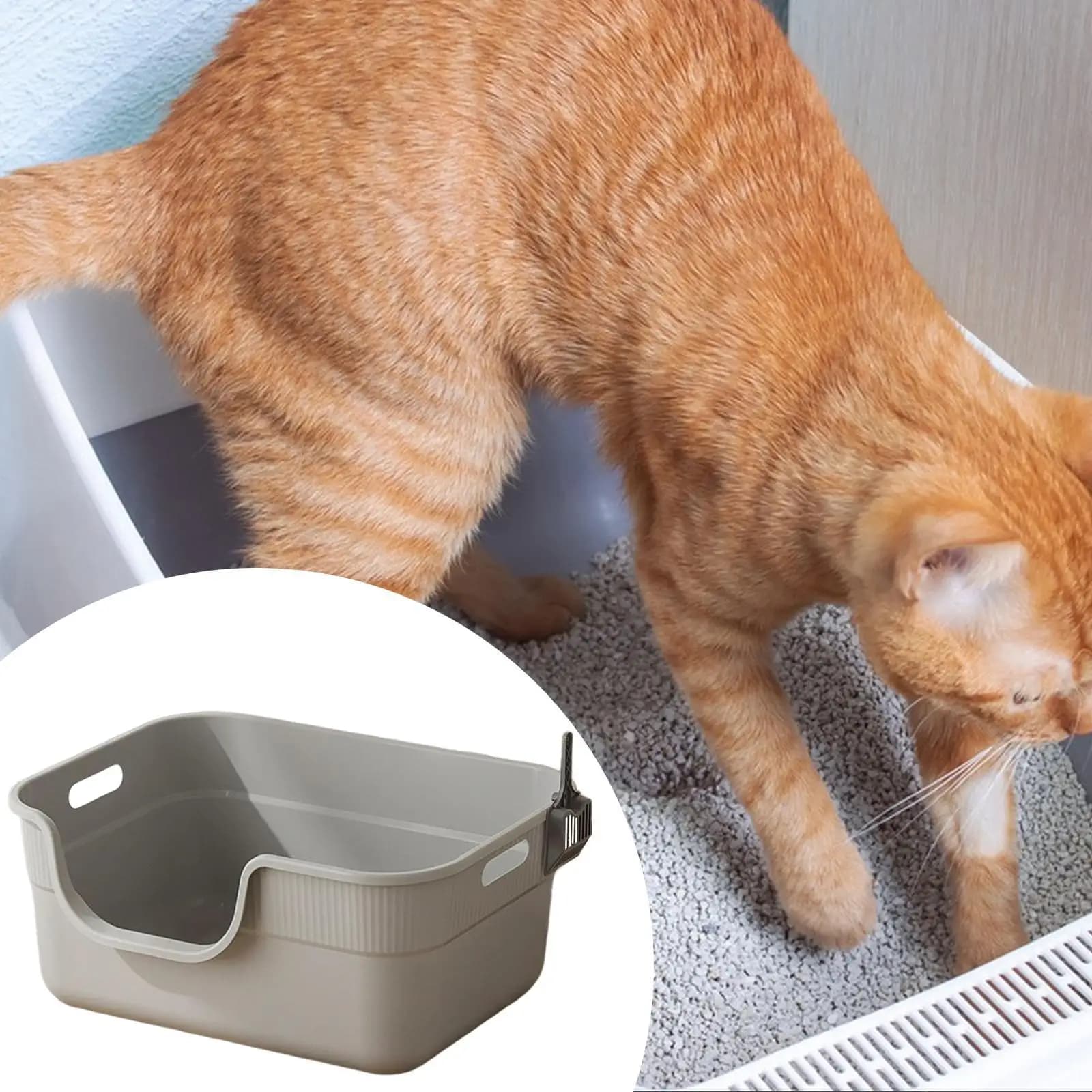 Lettiera per Gatti in Materiale PP con Parete Alta Anti-Schizzi, Toilette per Gatti da Interno con Sistema Automatico