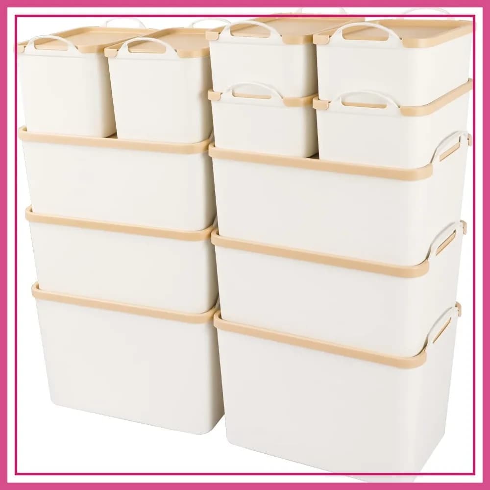 Set di 12 Contenitori in Plastica con Coperchi, Grandi Scatole Organizzative per Armadi e Scrivanie, Coperchi Color Grano, 2XL+4L+2M+4S