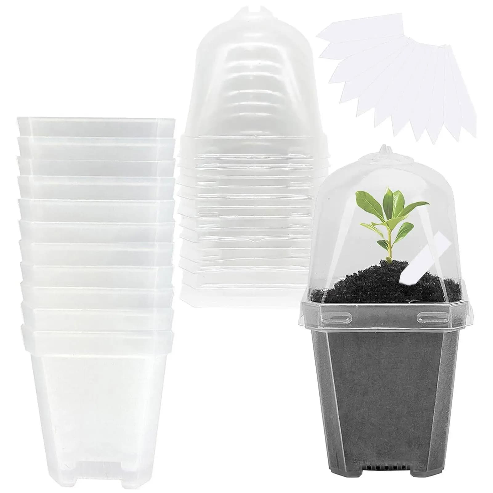 Set of 12 Transparent Jars for Semina with Breathable Cover, Containers for Flowers and Plants, Nutritional Cups for Gardening