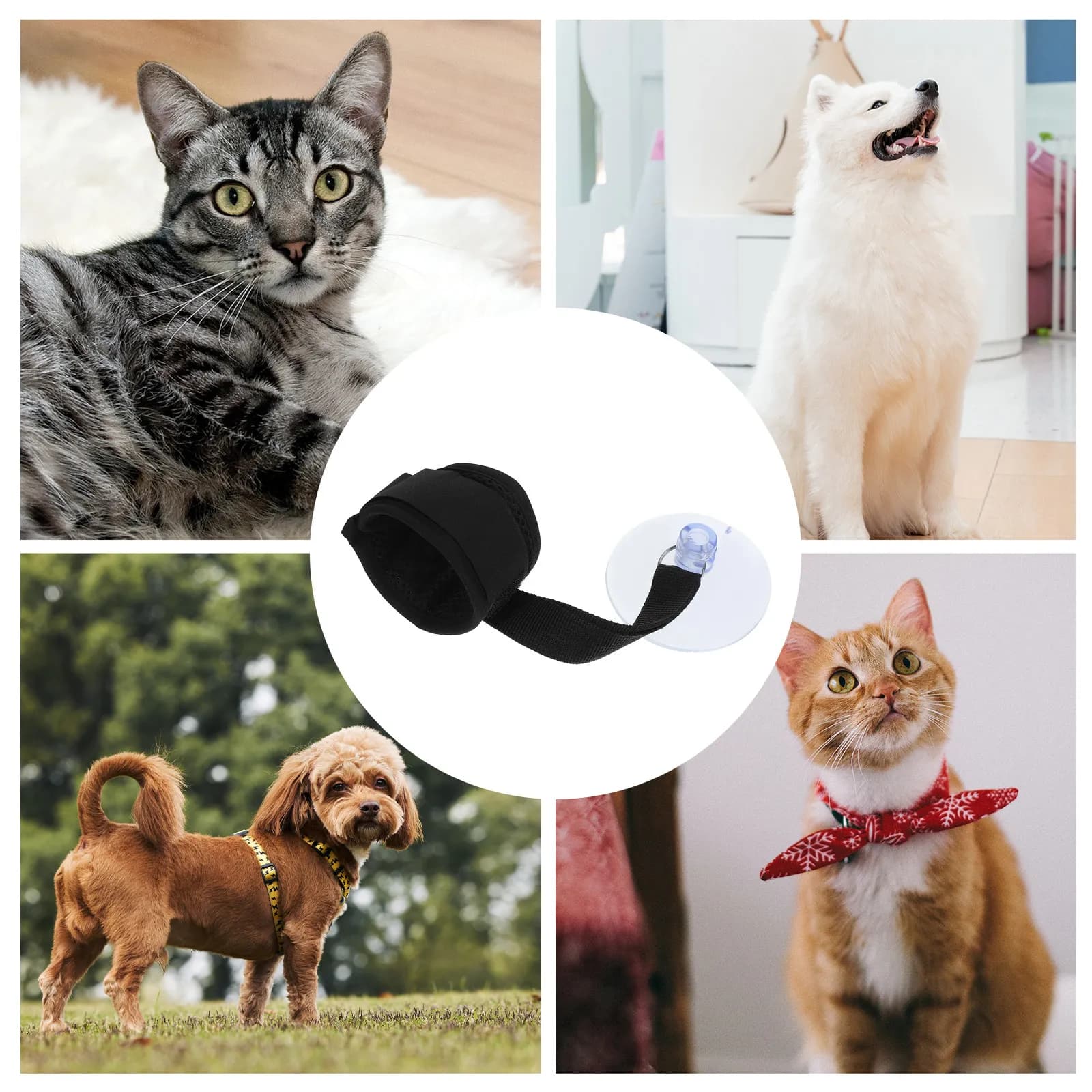 Dog Grooming Shower Tether Adjustable Suction Cup Bath Time Stabilizer Collar for Small Medium Large Dogs Pet Bathing Strap Dog