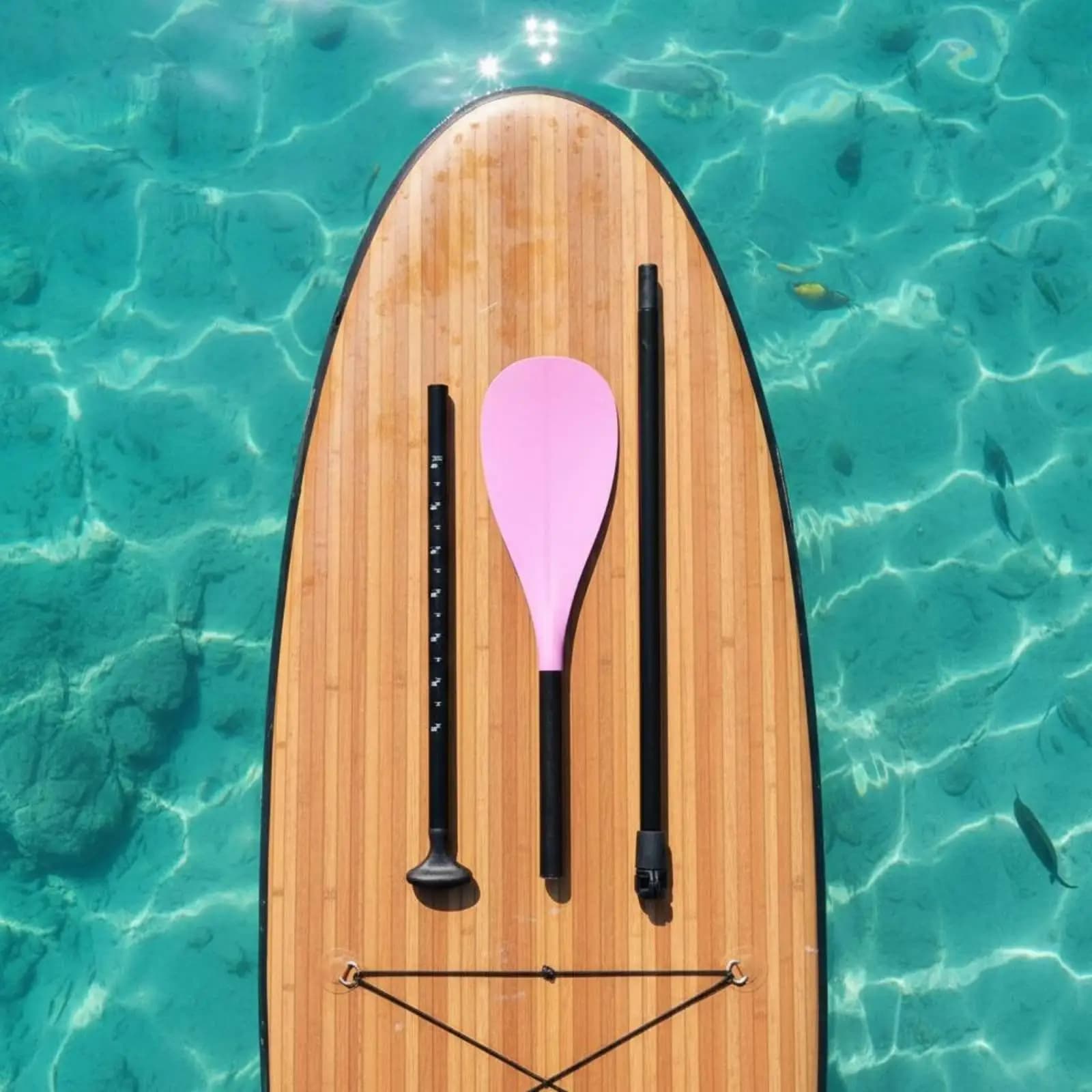 Kayak Paddle Sturdy SUP Paddle Detachable for Paddleboarding