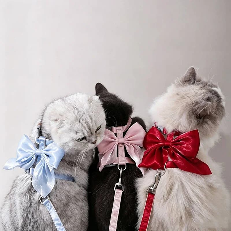 Cat Bow Harness Vest Walking Lead Leash For Puppy Dogs Collar Polyester Adjustable Mesh Dog Harness For Small Medium Pet Accesso