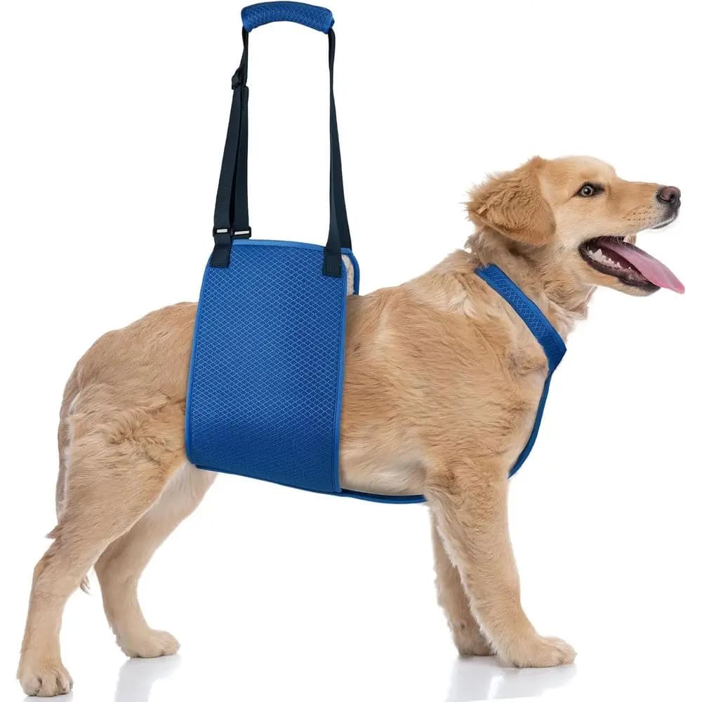 Pettorina di sostegno per cani di grandi dimensioni con imbracatura regolabile per assistenza alle gambe posteriori, ideale per anziani, recupero ferito e post-chirurgico