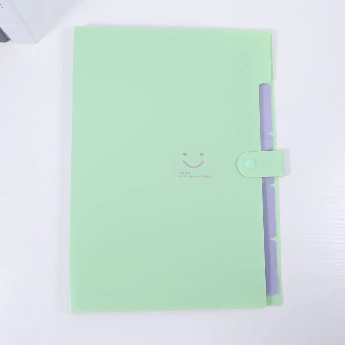 Set di 5 Cartelle Portadocumenti Espandibili in Plastica con 5 Tasche e Chiusura a Scatto, Organizzatore per Documenti da Ufficio e Viaggio