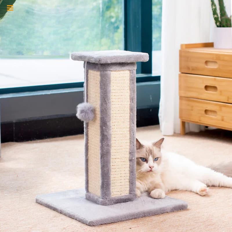 Moderno Tiragraffi per Gatti Ecologico da Interno, Grigio Scuro, con Pali in Sisal e Legno, Imballaggio in Cartone