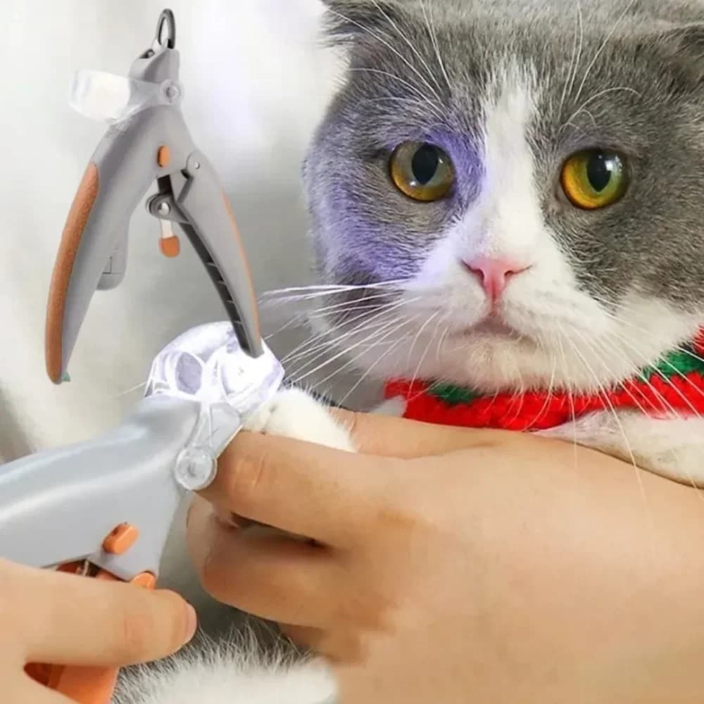 Professional Pet Nail Clipper Scissors With LED Light Cat Dog Nail Clipper Tool Scissors Nail Toeclaw Cutter Scissors Pet Supply