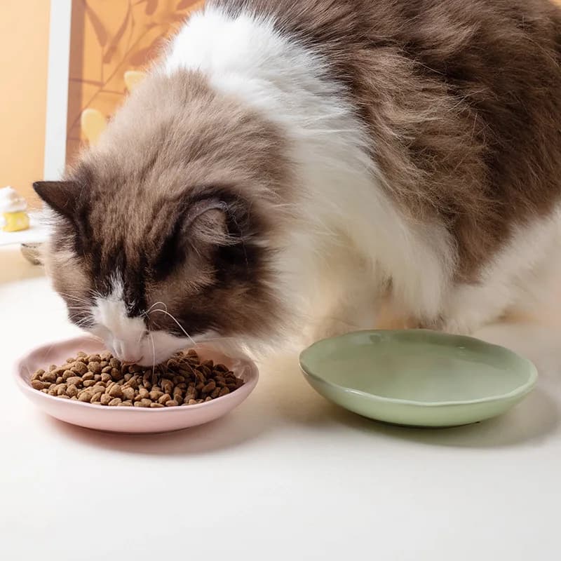 Ciotola per Gatti Senza Doppio Bordo Nero, Piatto per Animali Domestici in Ceramica Artigianale con Texture, Fondo Antiscivolo, Ciotola Poco Profonda per Cibo Umido e Secco