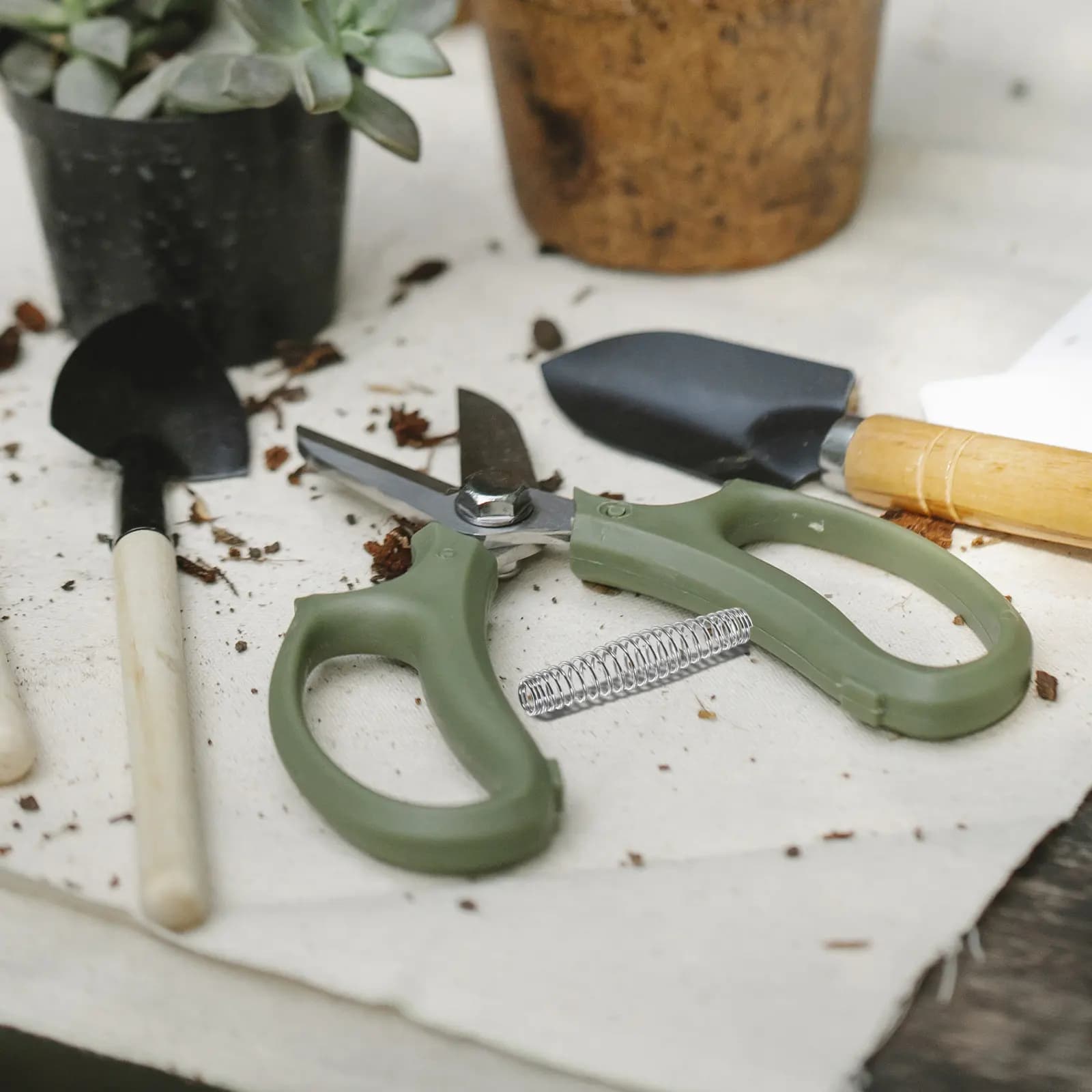 30Pcs Garden Pruner Spring Replacement 6Mm Stainless Steel Precision Compression Spring for Pruning Shears Trimming Scissors