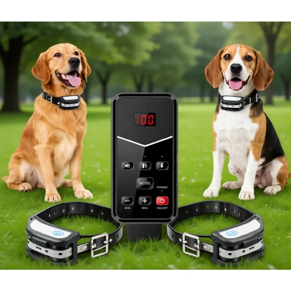 Recinto Wireless Ricaricabile per Due Cani, Raggio Regolabile 300m, Livelli di Avviso LCD