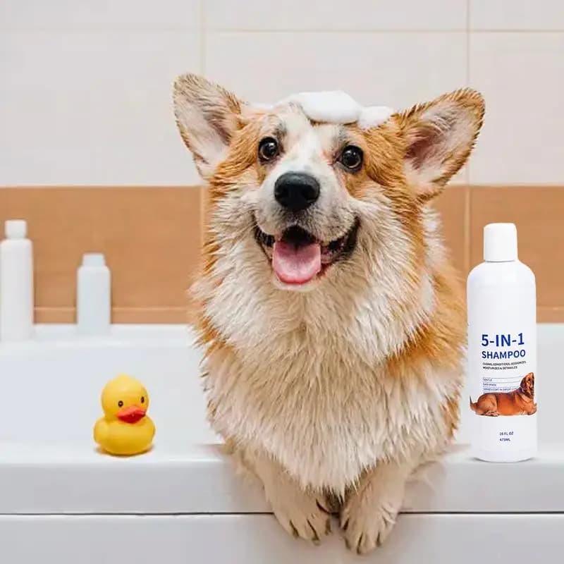 Shampoo idratante per cani Shampoo per cuccioli senza lacrime 16 flOz Shampoo e cappotto per cani Shampoo per animali domestici Formula per pelli sensibili e
