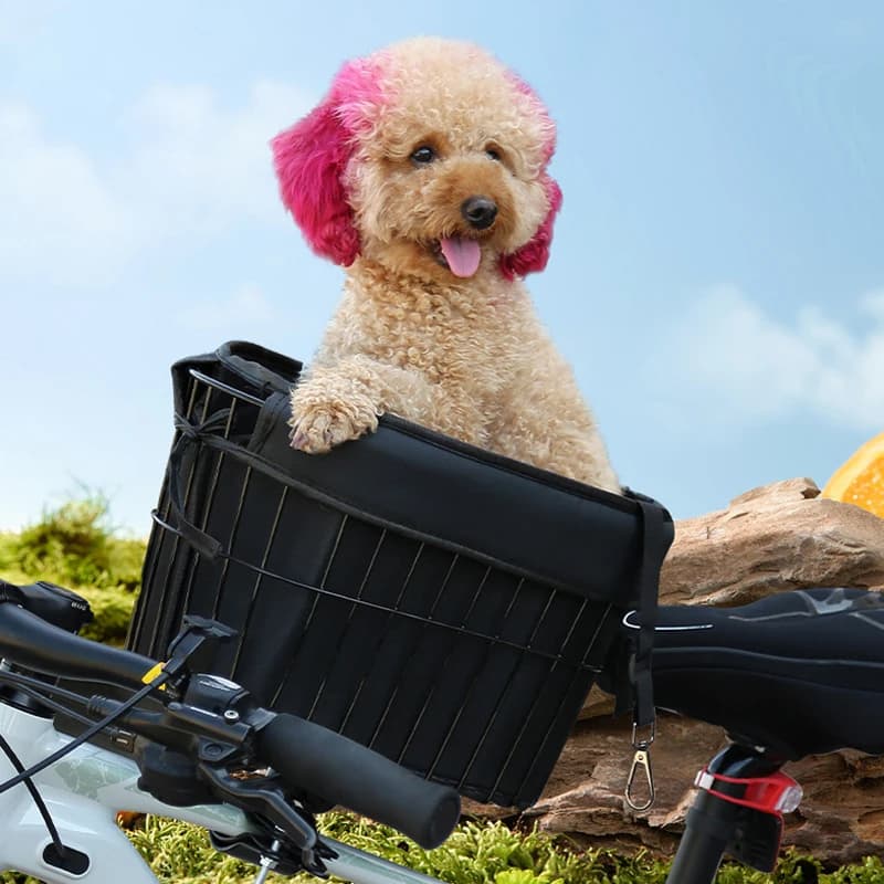 Cestino per cani da trasportino per gatti di nuovo stile per bici Cestino per bicicletta per cani con fascio anteriore durevole in metallo