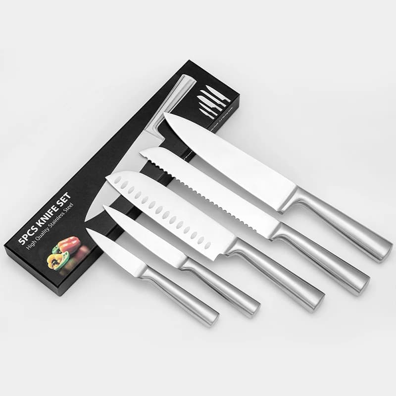 Set di 5 Coltelli da Cucina in Acciaio Inossidabile, Design Ergonomico con Manico Cavo, Coltello da Chef per Tagliare, Affettare e Sfilettare