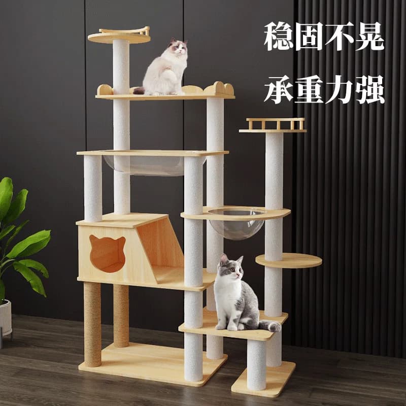 Struttura da arrampicata per gatti in legno Lettiera speciale per gatti multi-gatto Tiragraffi estivo integrato Capsula spaziale