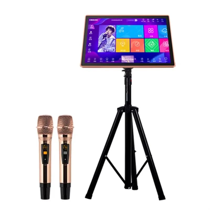 Sistema karaoke completo per macchina DSP mobile domestica all-in-one per esterni per lettori karaoke mobili all'aperto