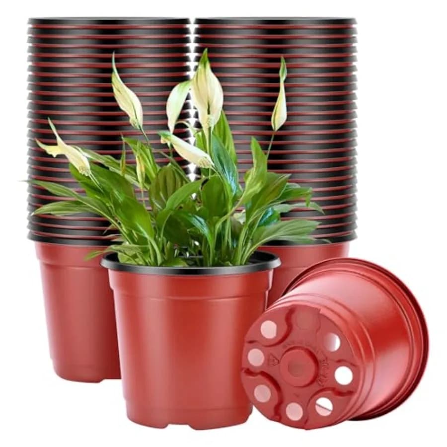 50 Pieces Plastic Vases of 6 Plants, Containers for Semina, Flowers and Plants, Ideal for Plants, Steaks and transplants