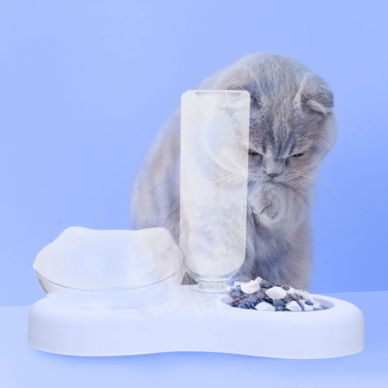 1Set Automatic Watering Pet Food Feeder Bowl Slow Feeding Design Dog Cat Bowl Easy Clean Smooth Surface Safe Non Toxic Material