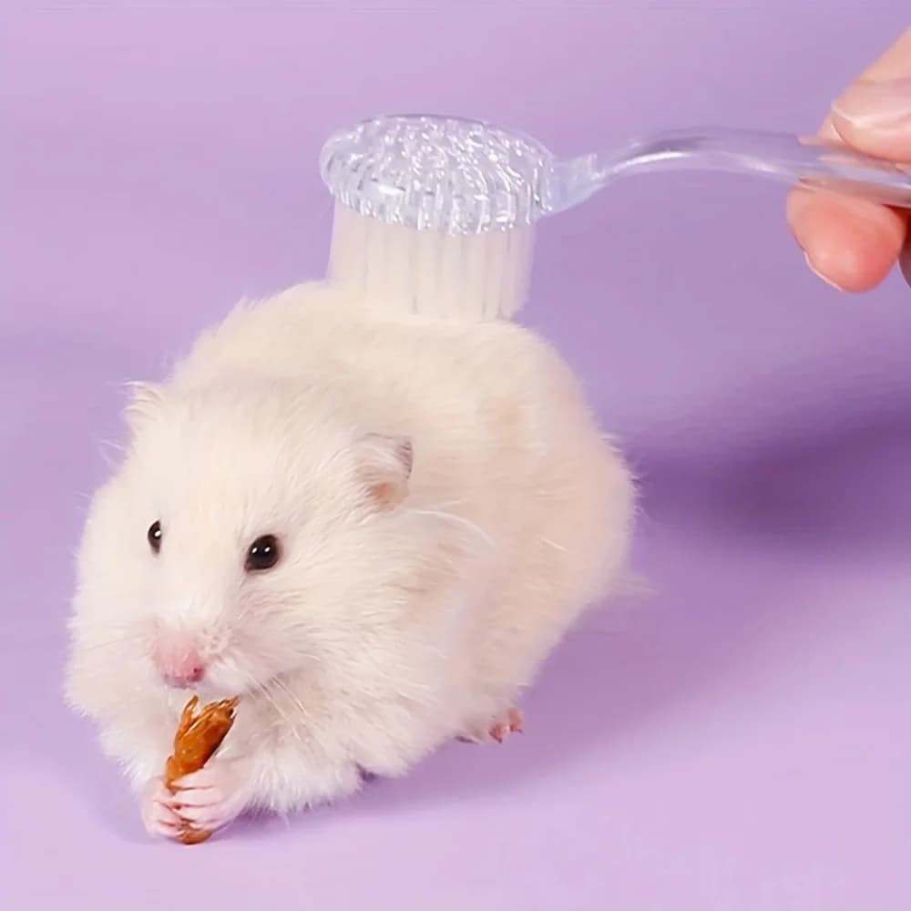 1 spazzola in plastica per criceti con setole morbide - Pettine trasparente per toelettatura di topi e piccoli animali
