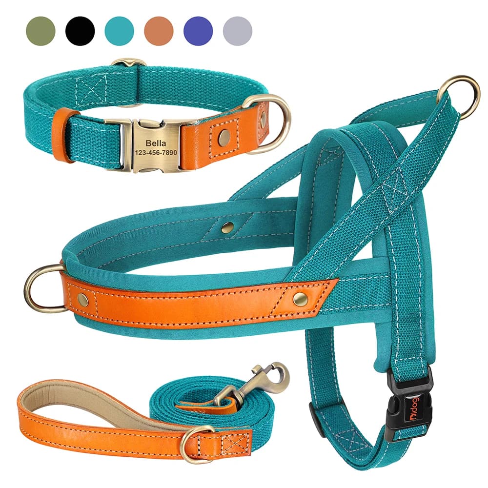 Guinzaglio per collare per cani in nylon personalizzato Imbracatura per controllo rapido Collari con fibbia per cani Guinzaglio imbottito morbido per cani Gatti Perro