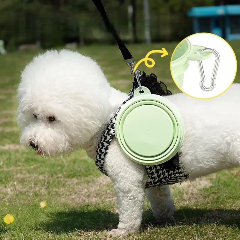 Ciotola portatile pieghevole per alimenti per animali domestici Mangime e bevande fuori porta per cani e gatti