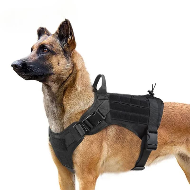 Abbigliamento tattico per cani, indumenti per addestramento all'aperto, imbracatura in nylon, gilet per cani da pattuglia, cappotto per animali domestici