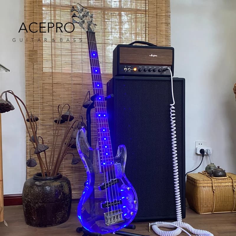 Basso Elettrico a 5 Corde con Luce LED Blu, Corpo e Paletta in Acrilico, Tastiera in Palissandro, Colore LED Personalizzabile