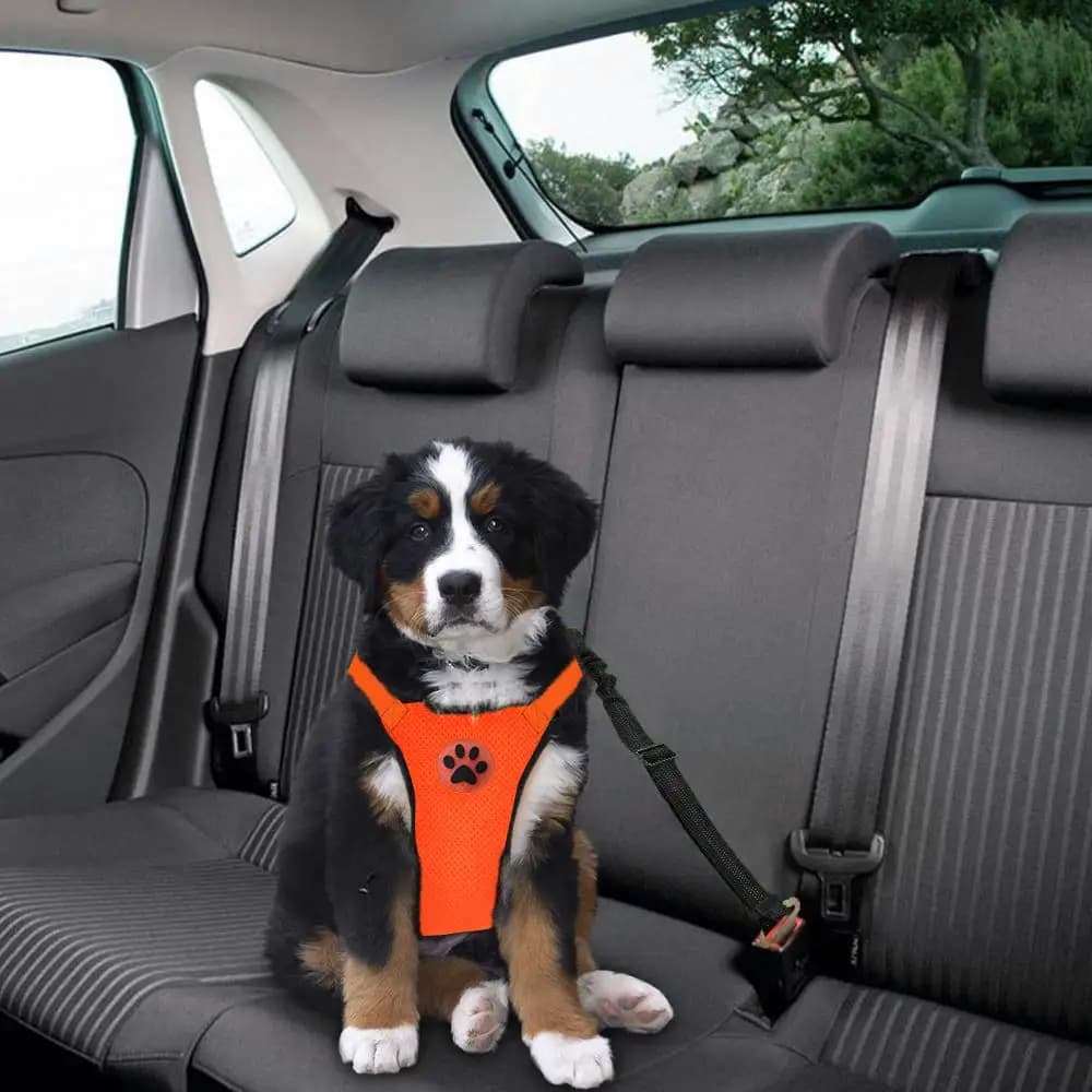 Set di cinture di sicurezza per imbracatura per cani, imbracatura per gilet per cani regolabile con rete traspirante e cintura di sicurezza per veicoli con elastico Bu