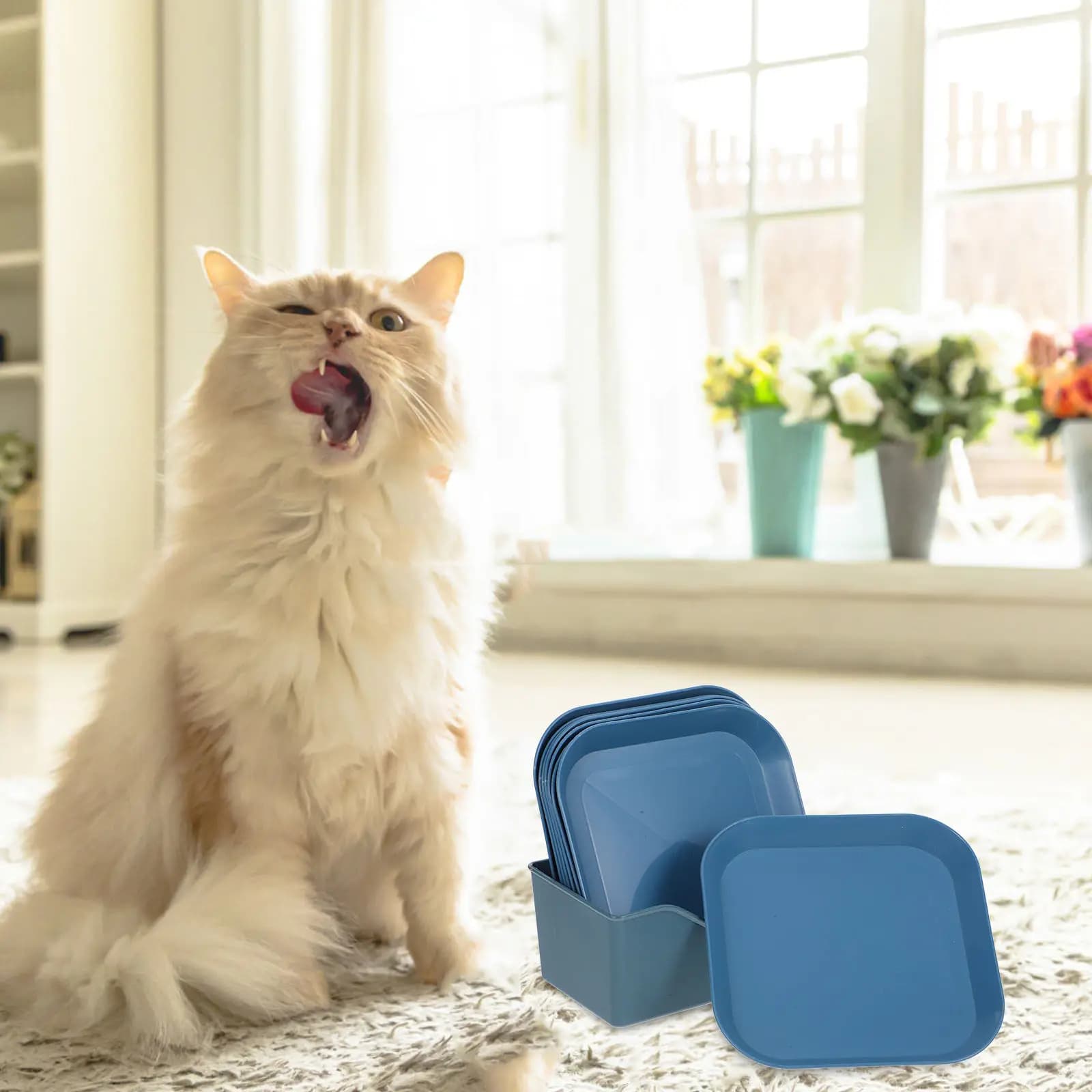 Set di 1 Ciotola per Gatti in Materiale PP, Piatto Antiscivolo per Piccoli Animali, Contenitore Piatto e Poco Profondo per Gatti da Interno, Criceti, Conigli, Facile da Usare