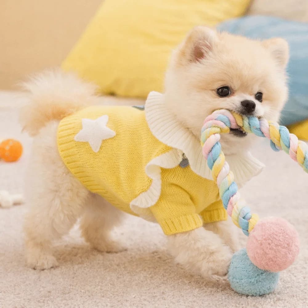 Maglione per Cani Stile Principessa, Caldo con Colletto Arricciato, Abbigliamento per Cani a Due Zampe, Morbido Pullover con Motivo a Stelle per Cuccioli, Cani Piccoli e Gatti