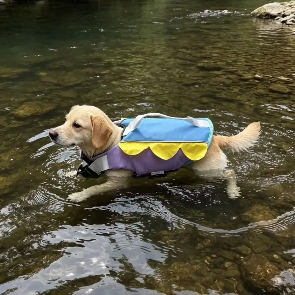 Enhanced Buoyancy Dog Life Jacket Anti Choking Adjustable Dog Swimsuit with Handle Breathable Pet Life Vest for Dogs Cats