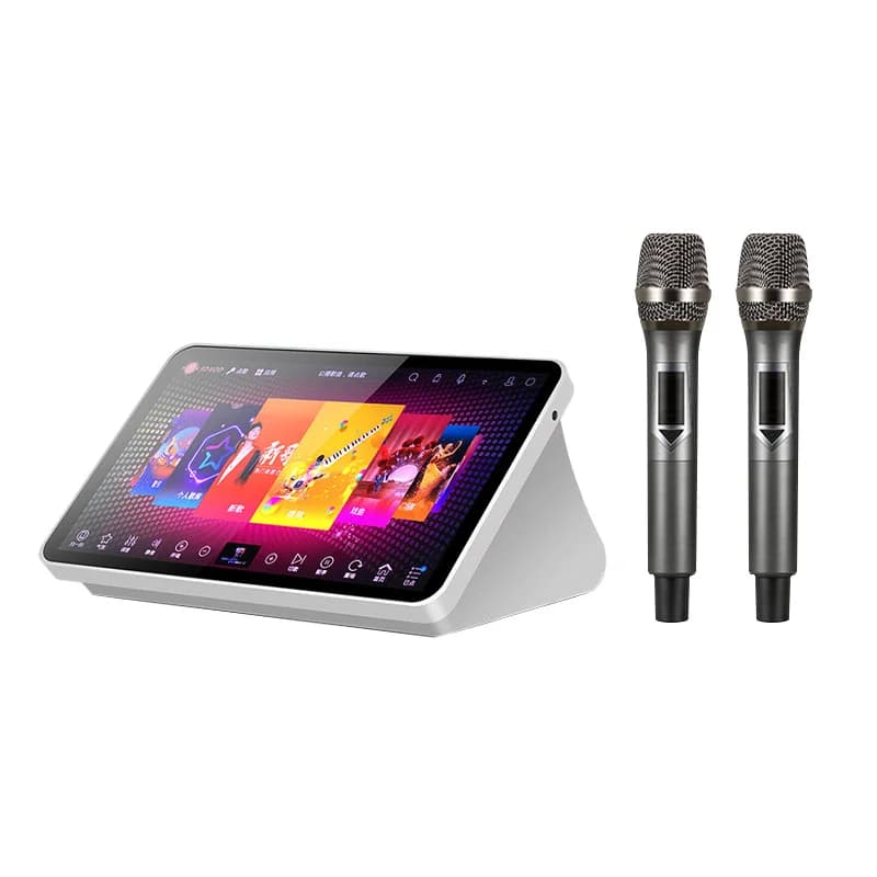Sistema Karaoke Professionale con Schermo Touch da 15,6 Pollici, 500GB 1TB 2TB 4TB di Canzoni, Macchina per Karaoke Domestico