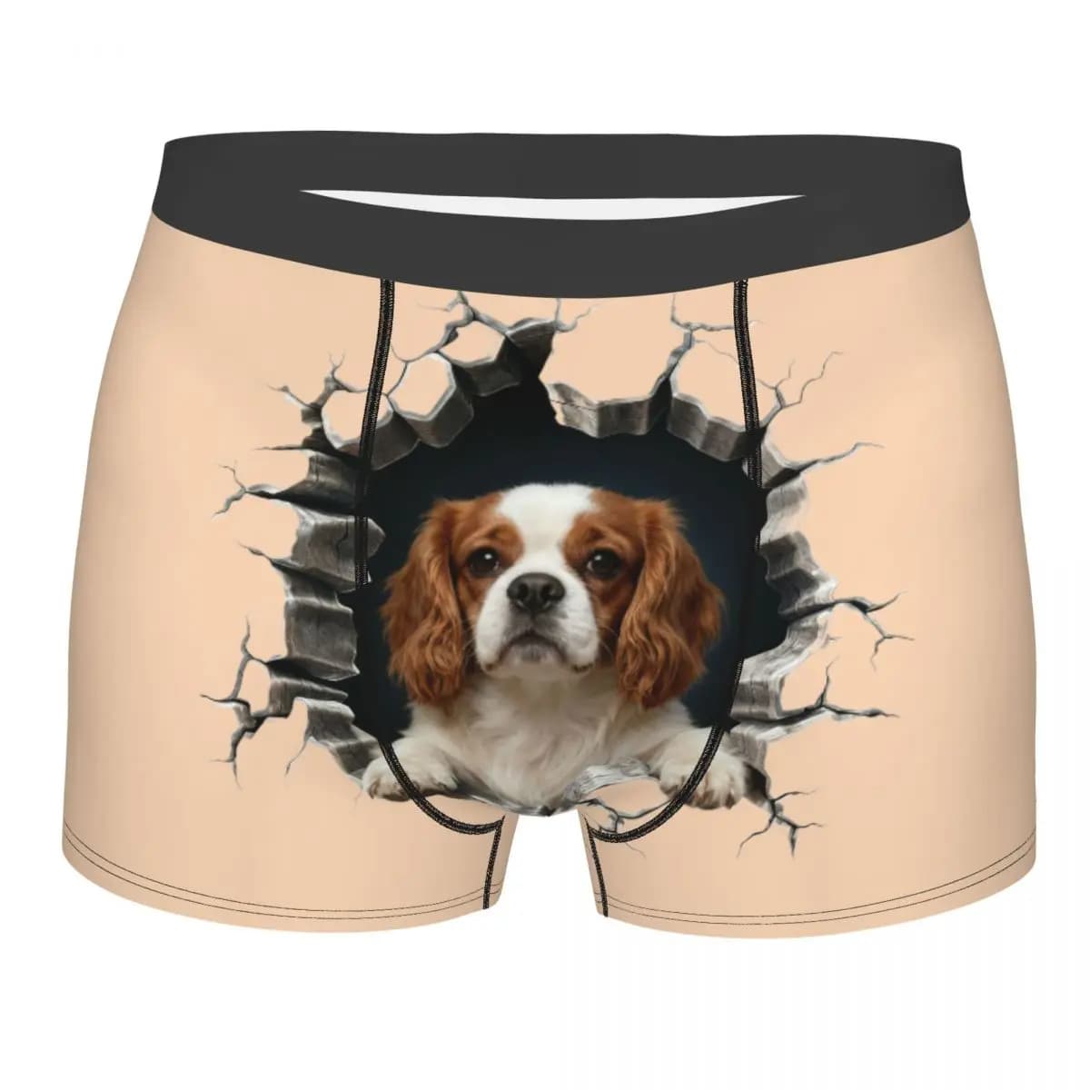 Cavalier King Charles Spaniel San Valentino Intimo maschile stampato amante dei cani Boxer Slip Pantaloncini Mutandine Mutande morbide